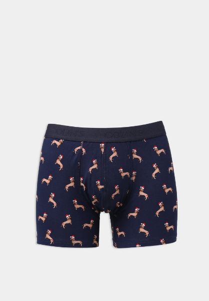 Изображение Трусы Colin's