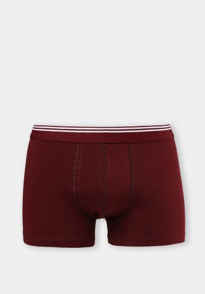 Изображение Трусы Colin's