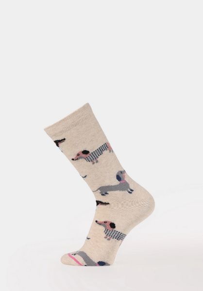 Изображение Носки Colin's