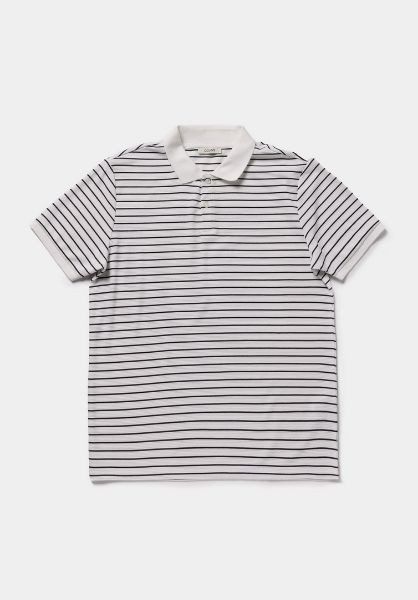 Изображение Поло Colin's