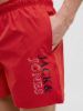 Изображение Плавки Jack & Jones