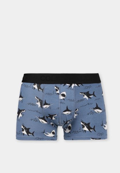 Изображение Трусы Colin's