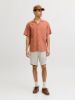 Изображение Шорты Jack & Jones