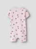 Изображение Боди name it