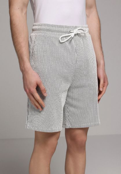 Изображение Шорты Colin's