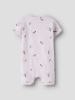 Изображение Боди name it