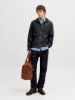 Изображение Джинсы Jack & Jones