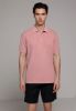 Изображение Поло Colin's