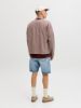 Изображение Шорты Jack & Jones