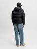 Изображение Куртка Jack & Jones