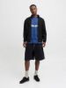 Изображение Джемпер Jack & Jones