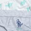 Изображение Трусы 2 в 1 Chicco